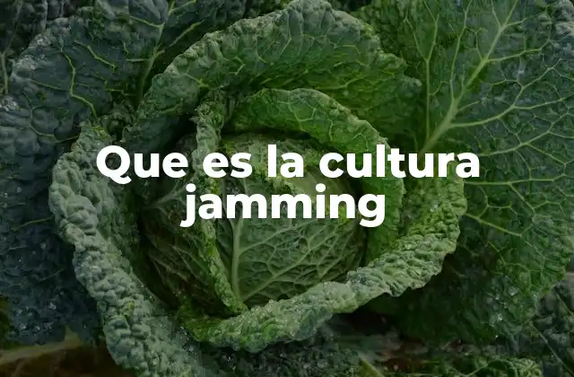 Que es la Cultura Jamming