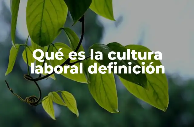 Cómo se manifiesta la cultura laboral en el día a día