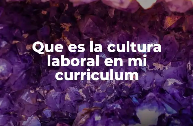 Que es la Cultura Laboral en Mi Curriculum