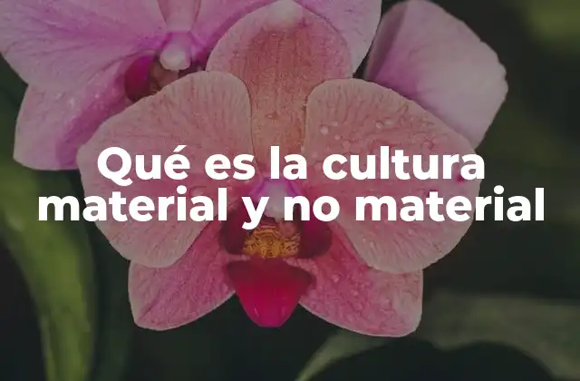 Qué es la Cultura Material y No Material