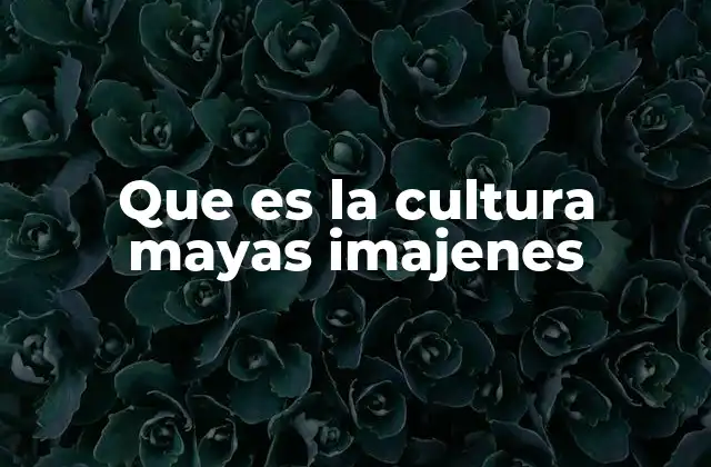 El arte y la arquitectura maya a través de imágenes