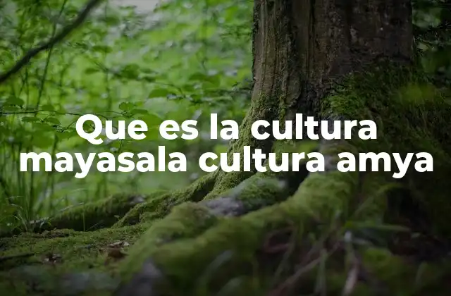Que es la Cultura Mayasala Cultura Amya