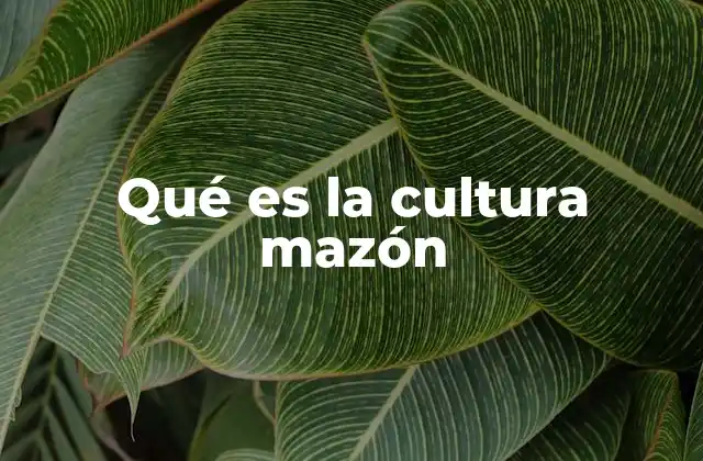 Qué es la Cultura Mazón