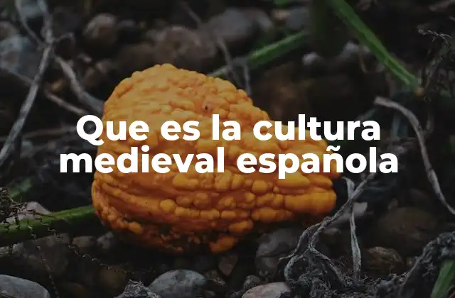 Que es la Cultura Medieval Española