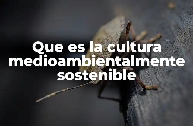 Que es la Cultura Medioambientalmente Sostenible