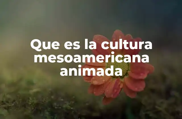 Que es la Cultura Mesoamericana Animada