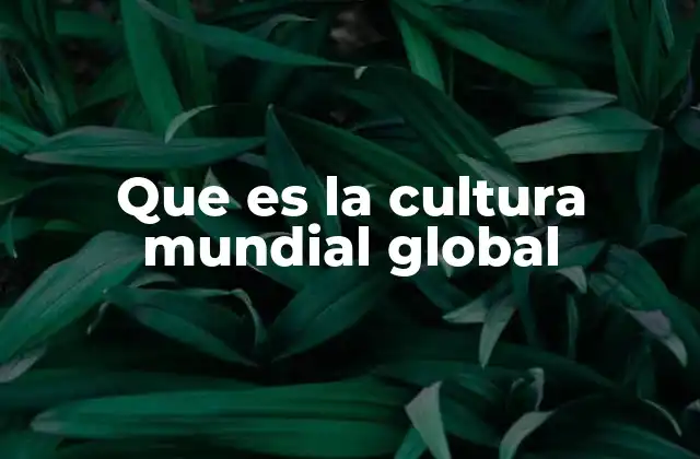 Que es la Cultura Mundial Global