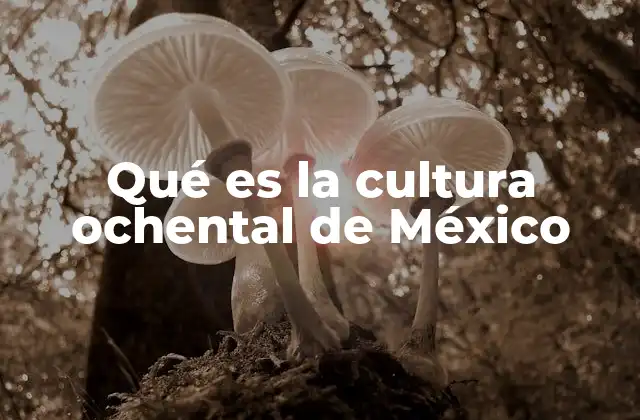 Qué es la Cultura Ochental de México