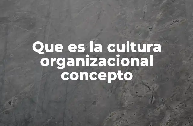 Que es la Cultura Organizacional Concepto