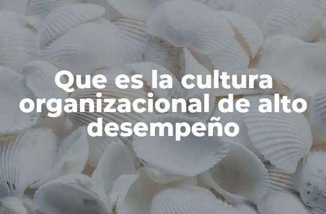 Que es la Cultura Organizacional de Alto Desempeño