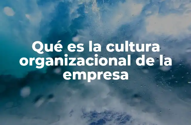 Qué es la Cultura Organizacional de la Empresa