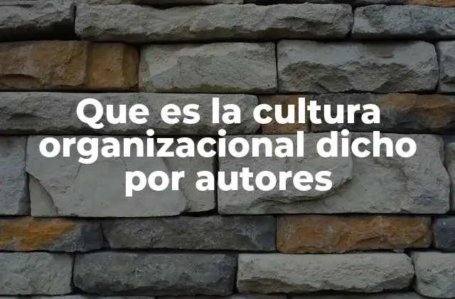 Que es la Cultura Organizacional Dicho por Autores