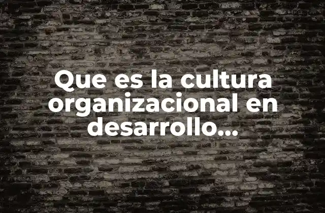 Que es la Cultura Organizacional en Desarrollo Organizacional