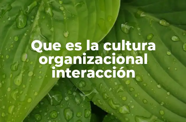 Que es la Cultura Organizacional Interacción