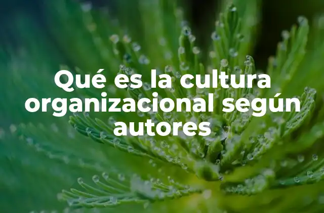 Qué es la Cultura Organizacional según Autores