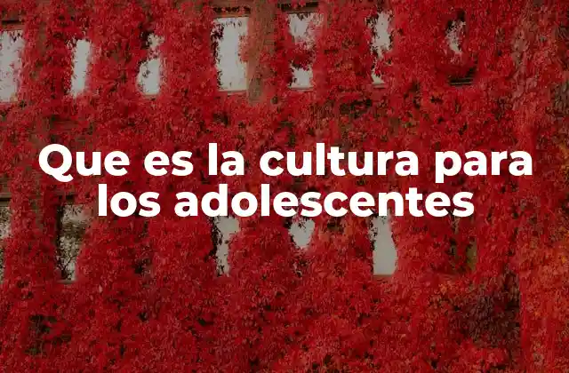 Que es la Cultura para los Adolescentes 2 La cultura adolescente como reflejo de identidad