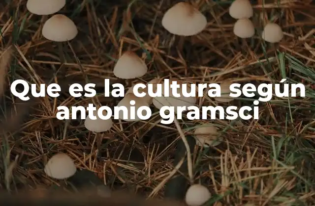 Que es la Cultura según Antonio Gramsci