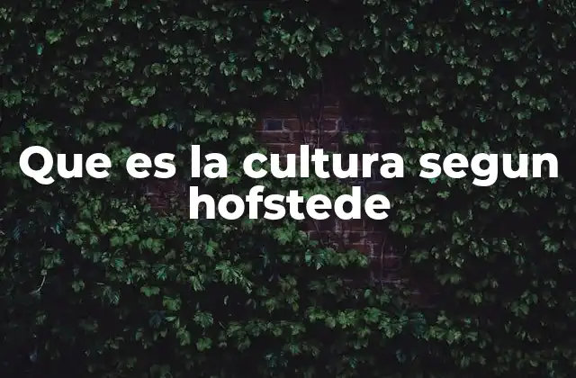 Que es la Cultura Segun Hofstede
