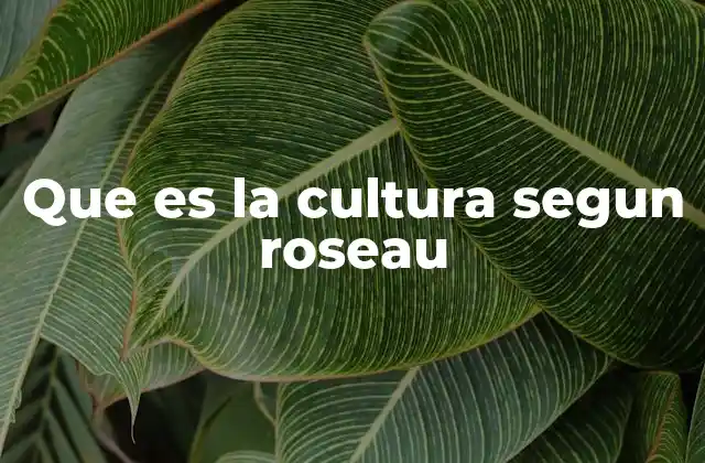 Que es la Cultura Segun Roseau