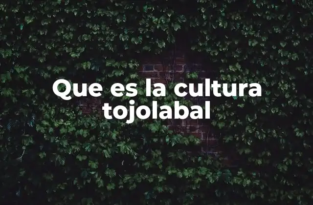 Que es la Cultura Tojolabal