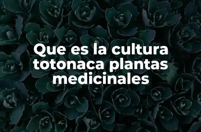 Que es la Cultura Totonaca Plantas Medicinales