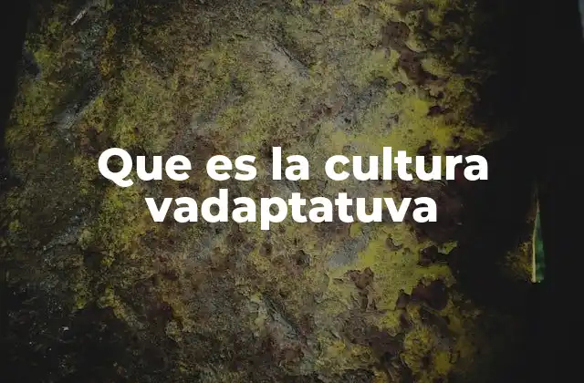 Que es la Cultura Vadaptatuva 2 Cómo una cultura adaptativa fomenta la resiliencia organizacional