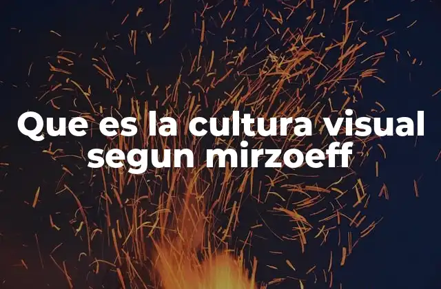 La visión como fenómeno cultural