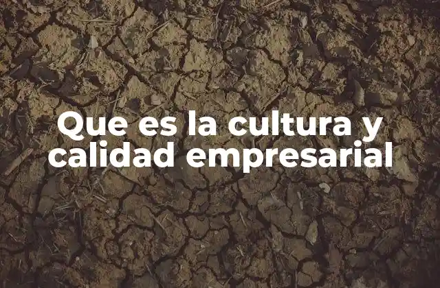 Que es la Cultura y Calidad Empresarial 2 El impacto de los valores internos en el desarrollo empresarial