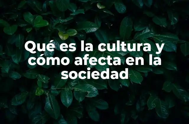 Qué es la Cultura y Cómo Afecta en la Sociedad