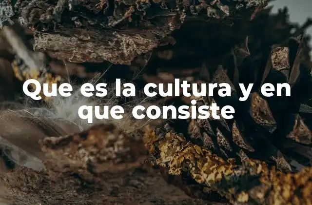 Que es la Cultura y en que Consiste