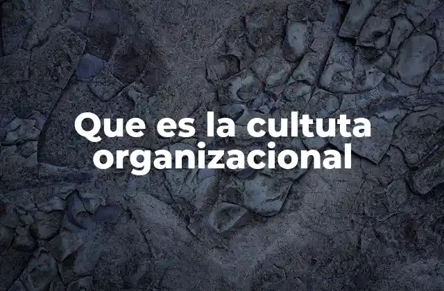 Que es la Cultuta Organizacional
