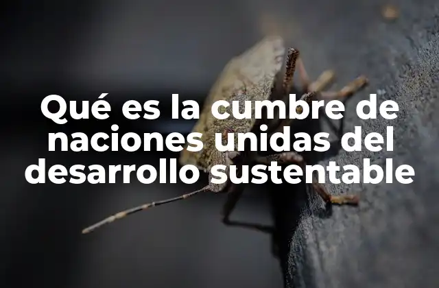 Qué es la Cumbre de Naciones Unidas Del Desarrollo Sustentable