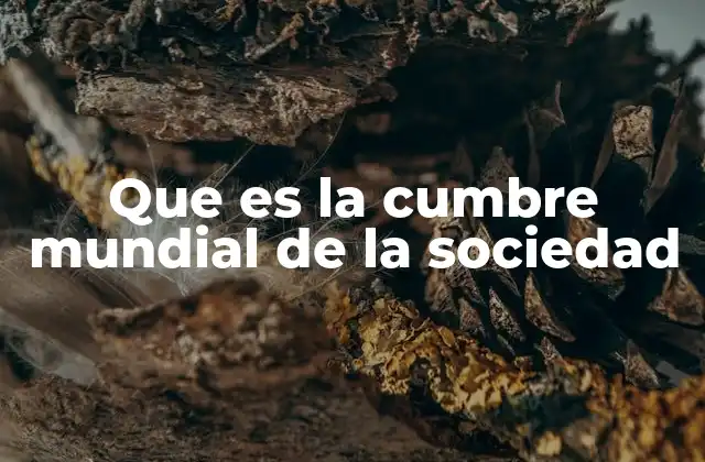 Que es la Cumbre Mundial de la Sociedad