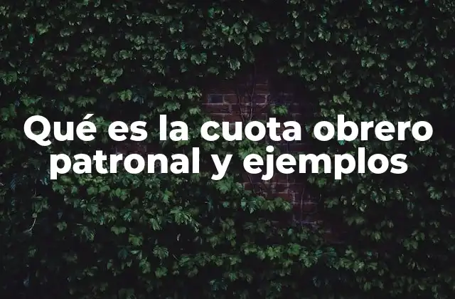 Qué es la Cuota Obrero Patronal y Ejemplos