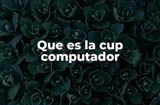 Que es la Cup Computador