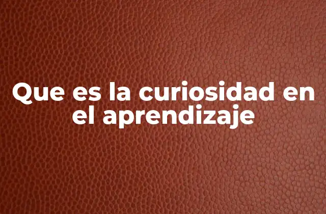Que es la Curiosidad en el Aprendizaje