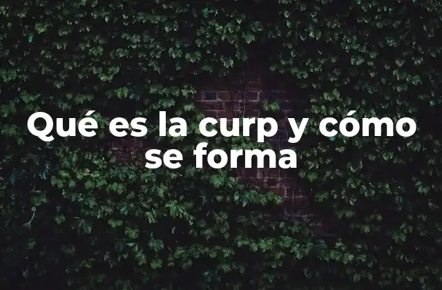Qué es la Curp y Cómo Se Forma