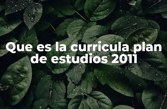Que es la Curricula Plan de Estudios 2011