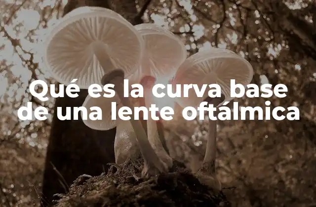 El papel de la curva base en la óptica moderna