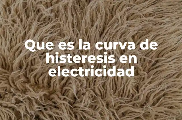 Que es la Curva de Histeresis en Electricidad