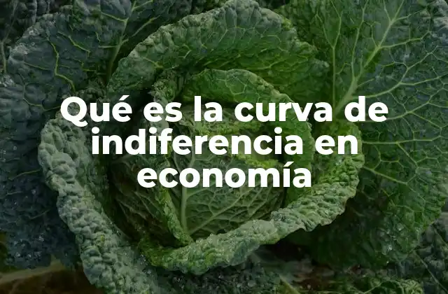 Qué es la Curva de Indiferencia en Economía