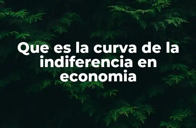 Que es la Curva de la Indiferencia en Economia