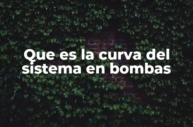 Que es la Curva Del Sistema en Bombas