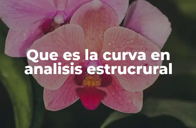 Que es la Curva en Analisis Estrucrural
