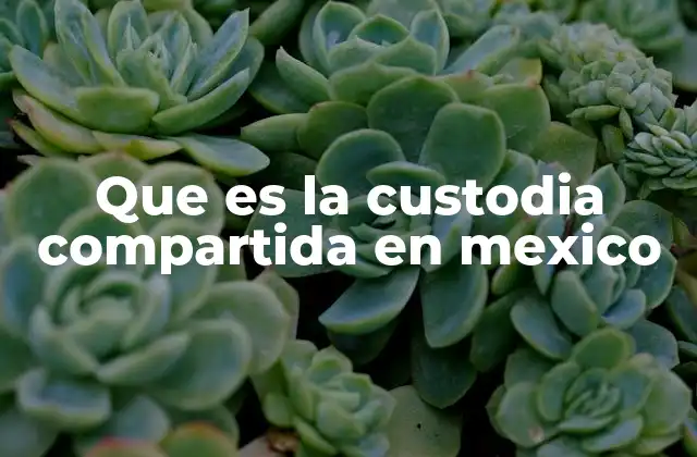Que es la Custodia Compartida en Mexico