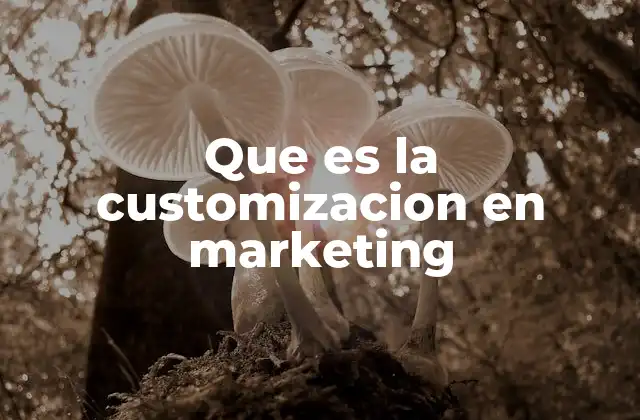 Que es la Customizacion en Marketing