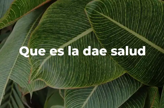 El papel de la DAE Salud en el sistema sanitario