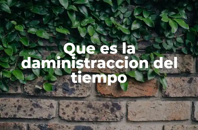 Que es la Daministraccion Del Tiempo