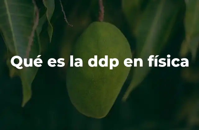 Qué es la Ddp en Física