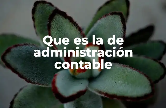 Que es la de Administración Contable